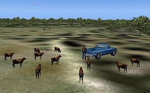 checkcows3.jpg